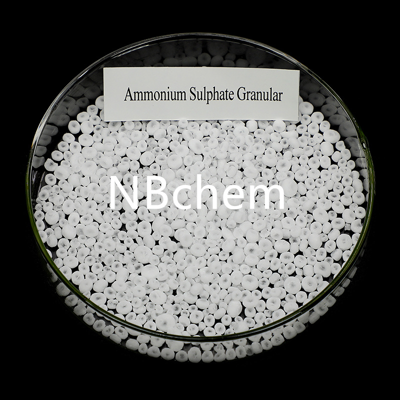 Ammonium Sulphate Granular (2)