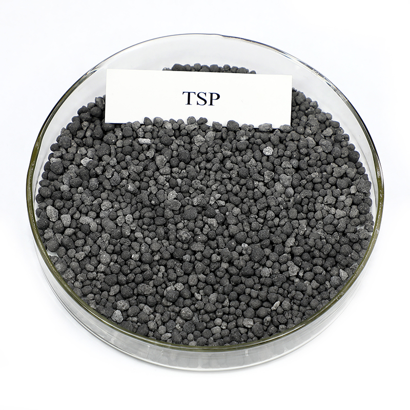 TSP (2)